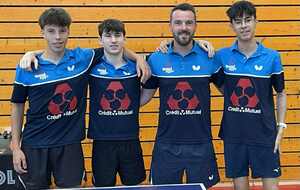 L'affiche du 15 novembre : la N3 et la Prénat à domicile