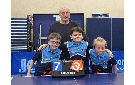 Bilan des 29 et 30 novembre : cinquième journée de championnat par équipes